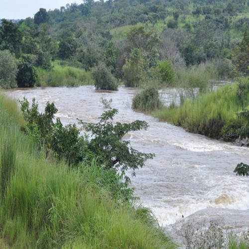 Estudos de Impacte Ambiental